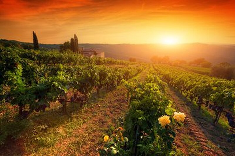 chianti panoramicò